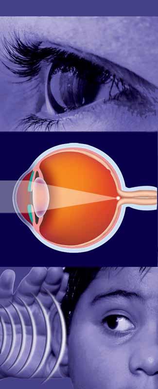 Chapter 18 Vision and Hearing Although small, your eyes and ears are amazingly important and complex organs. Do you know how your eyes and ears work?