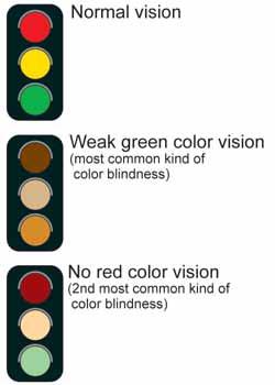 CHAPTER 18: VISION AND HEARING Color blindness Not everyone sees color the same way Color blindness is inherited What is color blindness?
