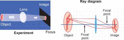The image in a mirror is called a virtual image. In a virtual image, light rays do not actually come together to a focal point to form the image. They only appear to come together.