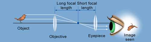 If the object is farther than one focal length you see a real image that is smaller than actual size (and upside down).