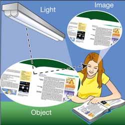 The human eye You see the world by reflected light How the eye works Figure 18.4 shows what happens when you see this page. Light rays in the room reflect off the page and into your eyes.