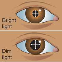 Seeing an image How does light enter the eye? The lens forms an image Focusing Light enters the eye through the pupil. The pupil is an opening created by the iris, the pigmented part of the eye.