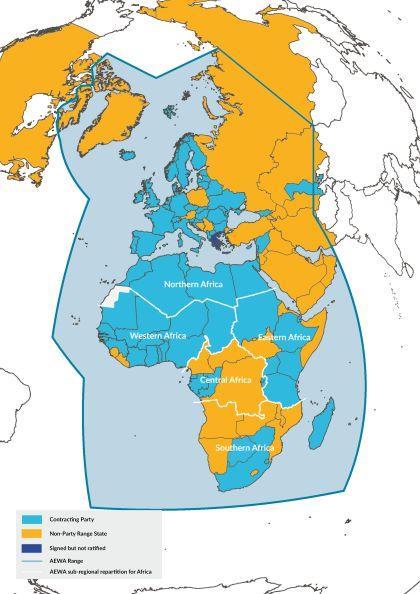 Table 2: AEWA geographic regions in Africa Northern Africa Eastern Africa ALGERIA, EGYPT, LIBYA, MOROCCO & TUNISIA DJIBOUTI, Eritrea, ETHIOPIA, KENYA, Somalia, South Sudan, SUDAN, UGANDA and TANZANIA