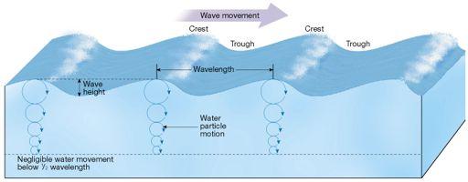 Waves& Parts( Ocean&water&movement& Crest& Trough Measurements(of(a(wave Wave&height& &the&distance&between&a&trough&and&a& crest& Wavelength& &the&horizontal&distance&between&