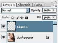 Click on the background layer. Do a Cmnd +A and select the whole image on the background layer. Then hit Cmnd + X.
