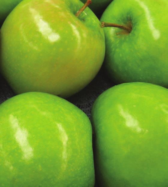 COMPARE APPLES WITH APPLES. When it comes to frames, you can see what you re getting for your investment.