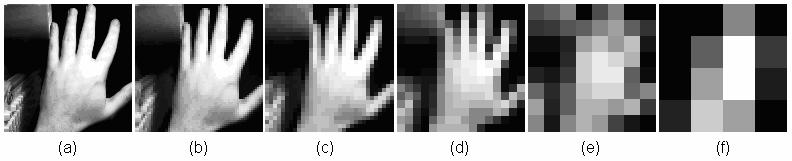 Indeed, in our example, the gray-level images don t need to be output at all - the only read-out information will be the optimally thresholded binary image.