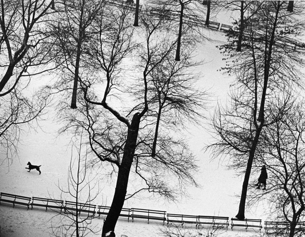 Washington Square Park, January 17, 1965 Gelatin