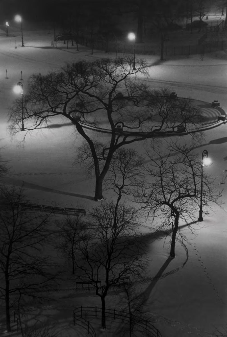 Washington Square at Night, 1954 Gelatin silver
