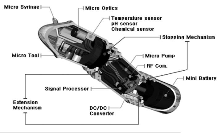 Future Developments Drug delivery Micro-biopsy Laser