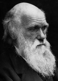 DARWIN (RIGHT) LIMITED HIS FINDINGS TO THE ANIMAL WORLD The philosophy known as Social Darwinism has its origins
