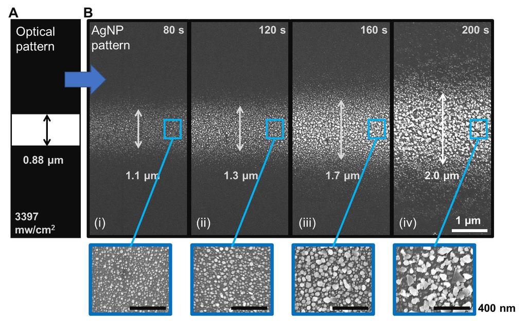 Figure S1. Characterization of printing resolutions with respect to nanoparticles of different expected sizes. (A) Line-shape optical pattern for resolution testing.