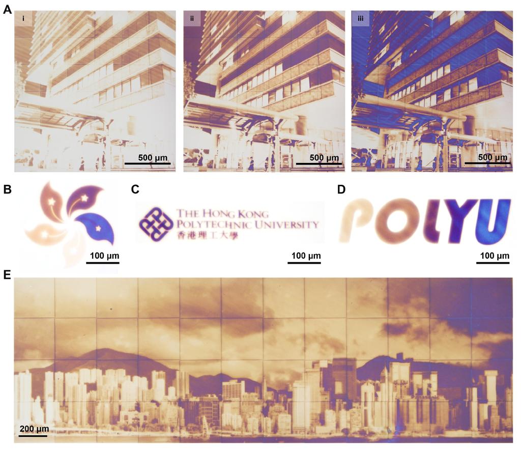 Figure S6. Collection of printed plasmonic color images. (A) Three color images of campus buildings printed by using different exposure doses. (B) Printed Hong Kong bauhinia flower.