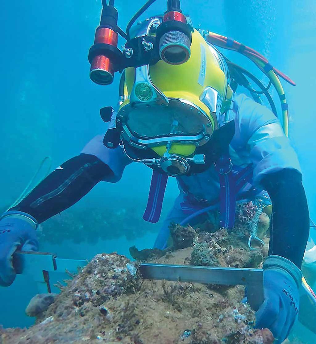 Commercial Diving Services Jetwave Commercial Diving Services combines state of the art IMCA compliant dive systems with specific purpose built Jetwave DSV s to offer our clients a quick response