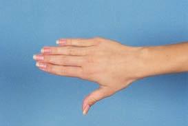 hand Target area: 36x24cm (horizontal) Reproduction