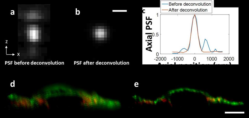 Supplementary Figure 2 Deconvolution in LBS2. PSF of LBS2 has multiple peaks, which can be removed using deconvolution.
