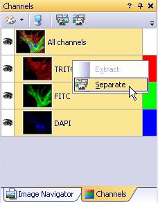 Creating and viewing multi-dimensional images To obtain all the images in a multi-dimensional image stack, select the top entry in the Channels or Stacks.