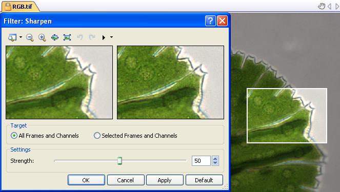 Processing images In all image processing functions you can define any section of the image as a preview area. To do this, shift the selection rectangle to the required location in the image.