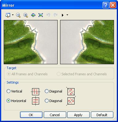 Processing images The Mirror dialog box. On the left you can see the current display of the selected image segment. On the right you can see the preview.