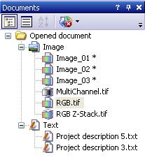 Documents The Documents tool window provides a fast overview of all the opened documents.