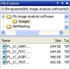 The user interface: components The File Explorer This tool window is not on display by default. If required, display it by using the View > Tool Windows > File Explorer command.