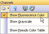 Click the first row, to have all color channels displayed. On your monitor the colors of the individual channels will be superimposed.