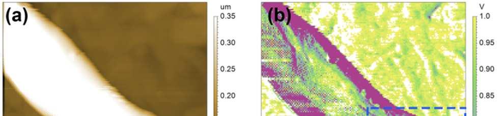 Fig. S5 Images 2x2 µm corresponding to a) topography, amplitude