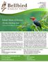 Sabah: Heart of Borneo 10-day birding tour