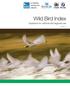 Wild Bird Index. Guidance for national and regional use. Version 1.2