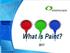 What is Paint?