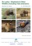 Sri Lanka - Elephants & Other Wildlife (including Yala extension)
