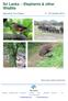 Sri Lanka - Elephants & other Wildlife