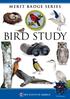 BIRD STUDY. STEM-Based