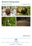 Naturetrek Tour Report 7-17 September Orang-utan male. Whiskered Treeswift