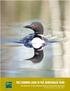 THE COMMON LOON IN THE ADIRONDACK PARK An Overview of Loon Natural History and Current Research By Nina Schoch, D.V.M., M.S.