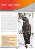 Red-tail News. Welcome to the new look winter edition of Red-tail News. birds are in our nature. Issue 35 September 2012