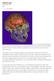 MARCH 03, The Hobbit's Brain. Posted by Carl Zimmer
