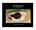 The Aquatic Eye. David G. Heidemann. Foreword by Ivan R. Schwab