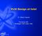 VLSI Design at Intel. Dr. Steve Haynal. Formerly with Strategic CAD Labs, Intel
