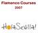 Flamenco Courses 2007