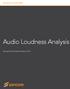 TECHNICAL WHITE PAPER. Audio Loudness Analysis