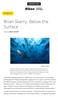Brian Skerry: Below the Surface