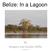 Belize: In a Lagoon. by Gregory and Jacalyn Willis Copyright 2012