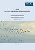 The Future of the Wadden Sea Flyway Initiative