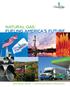 NATURAL GAS: FUELING AMERICA S FUTURE