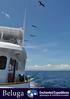 Cruise the Galapagos in speed and style aboard the Beluga