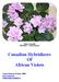 Canadian Hybridizers Of African Violets
