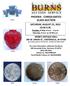 PHOENIX - CONSOLIDATED GLASS AUCTION