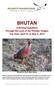 BHUTAN. A Birding Expedition Through the Land of the Thunder Dragon Trip Date: April 21 to May 4, Blood Pheasant. Photo: Hishey Tshering