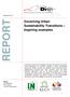 REPORT. Governing Urban Sustainability Transitions Inspiring examples